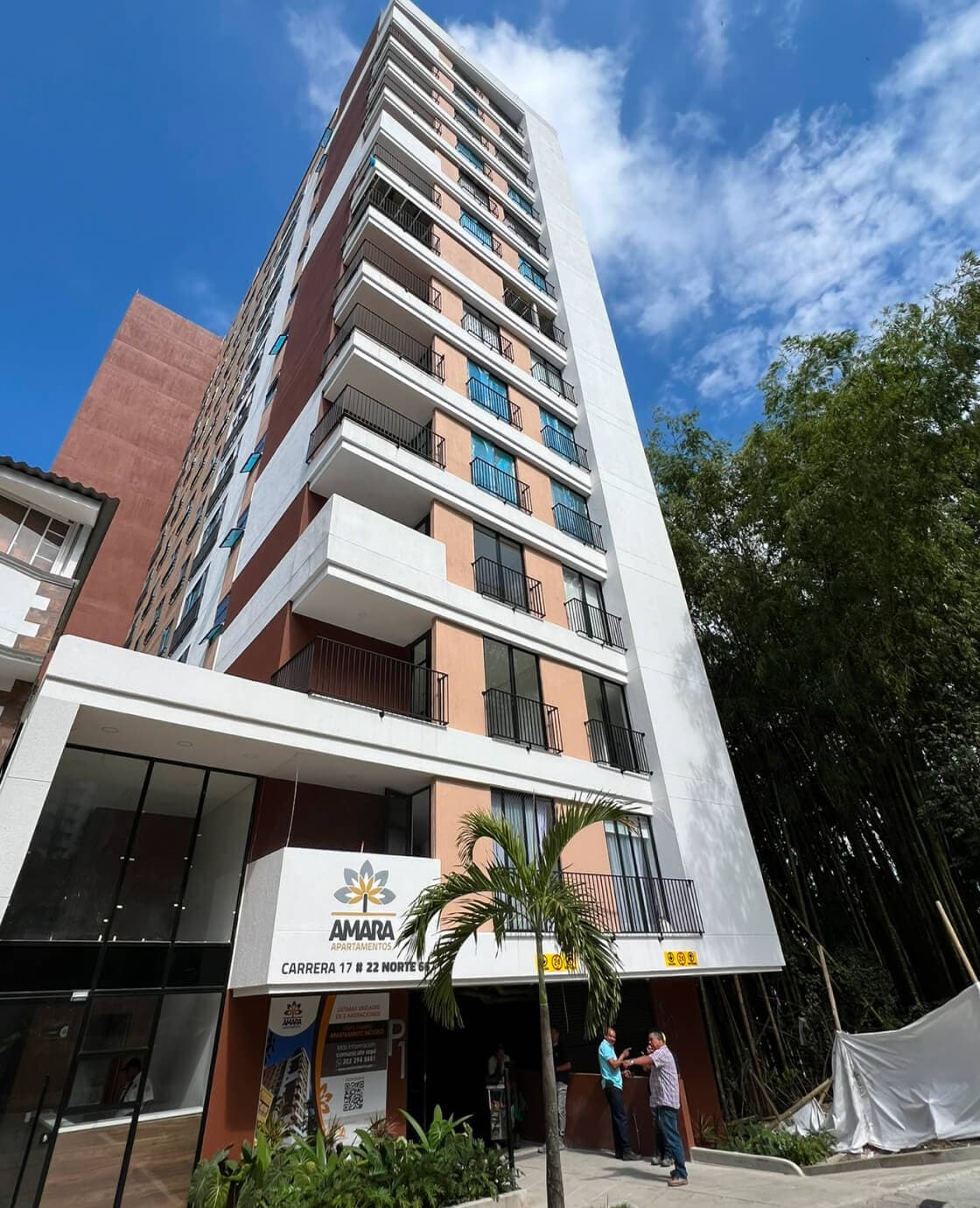 Imagen projecto de Amara